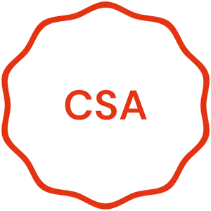 CSA zertifiziertes Hosting